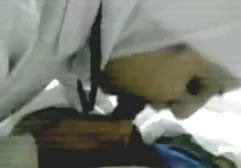 چاق کلیپ سکسسی