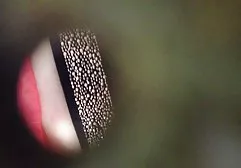 پیر!!!!! عكس كير كون