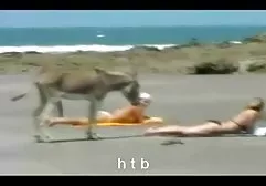 می توانید سیاه و فیلم سکسی سیاوش دلسوز سفید دیک در زن Nutt2 روز