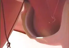 سگ,گربه,13 عکس سکسی کلیپ